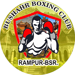 logo-for-bushahr-boxing-club